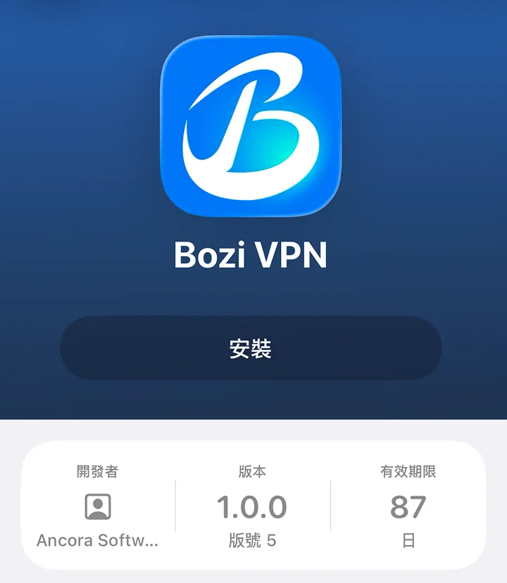 bozi vpn
